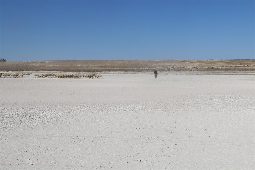 Aksaray'da Flamingoların Uğrak Noktası Akgöl Kurudu