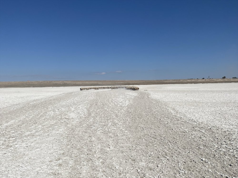Aksaray'da Flamingoların Uğrak Noktası Akgöl Kurudu