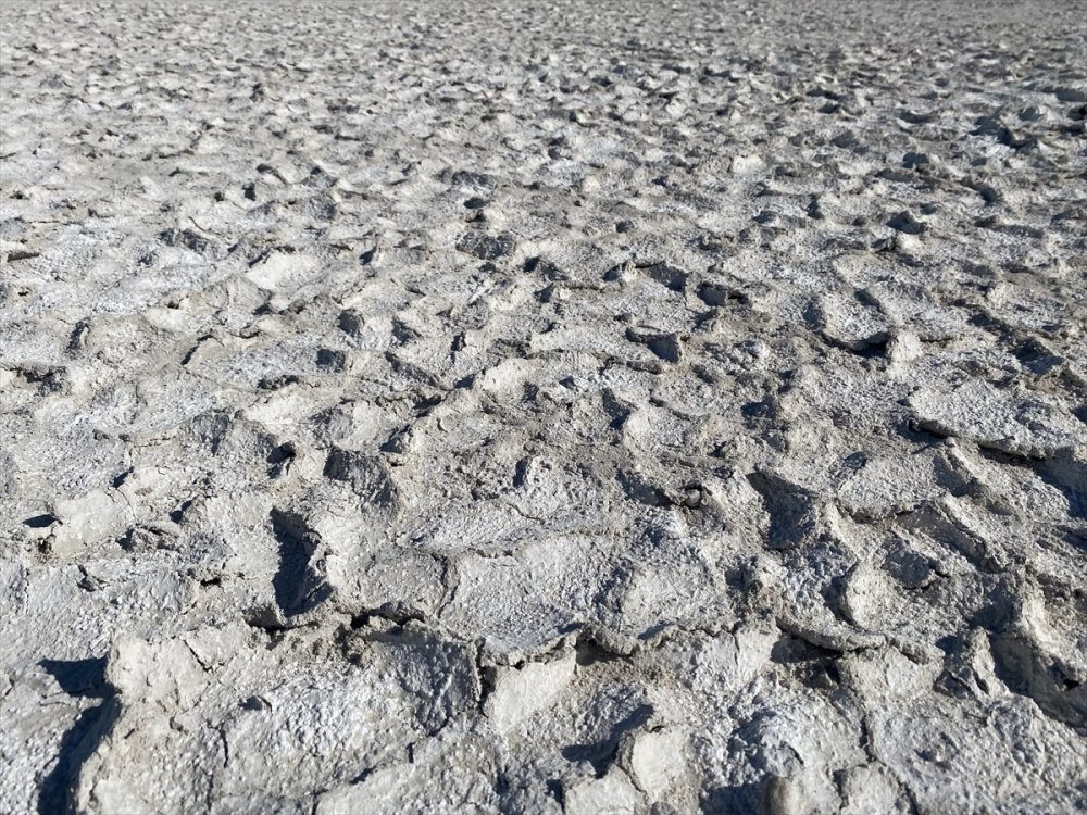 Aksaray'da Flamingoların Uğrak Noktası Akgöl Kurudu