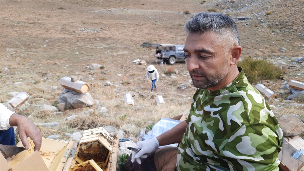 Toros Dağları'nın 2 Bin Rakımlı Bölgelerinde Karakovan Balı Hasadı Yapılıyor