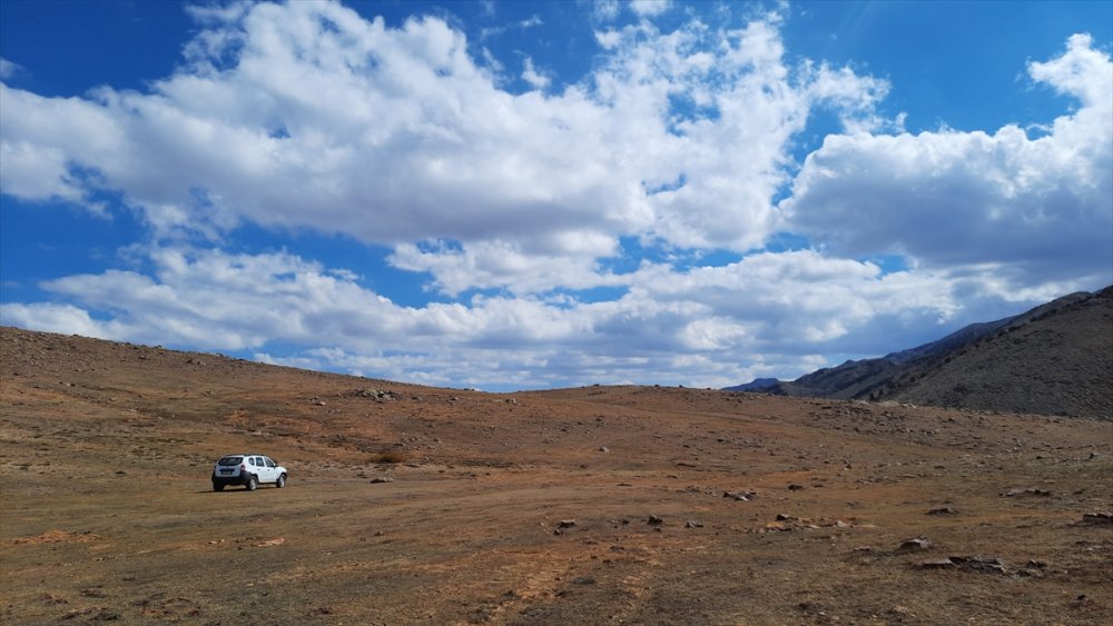 Toros Dağları'nın 2 Bin Rakımlı Bölgelerinde Karakovan Balı Hasadı Yapılıyor