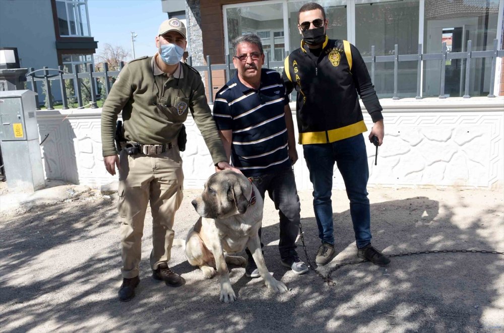 Aksaray'da Malaklı Hırsızı Yakalandı