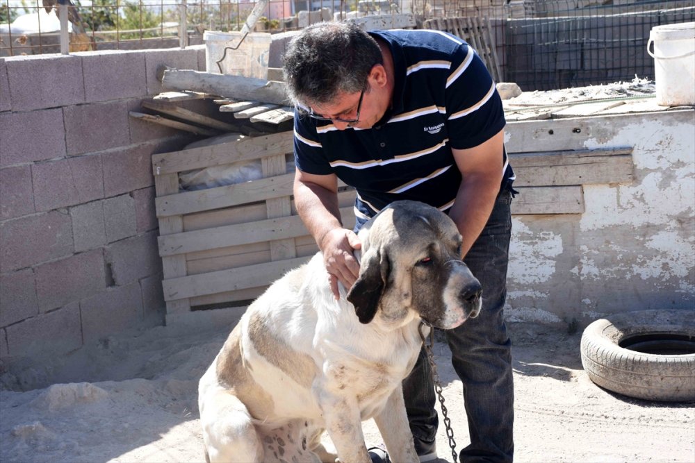 Aksaray'da Malaklı Hırsızı Yakalandı