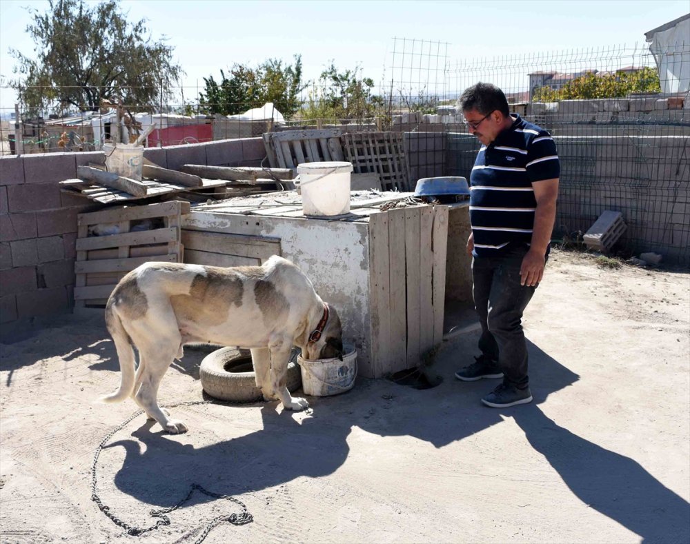 Aksaray'da Malaklı Hırsızı Yakalandı