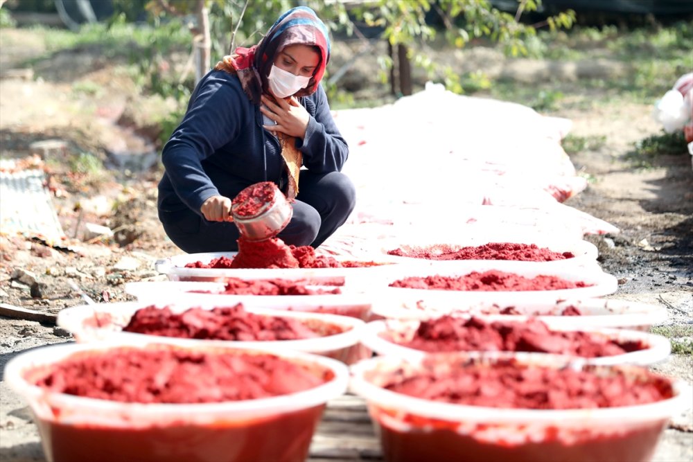 Antalya'dan Sofralara Kadın Eli