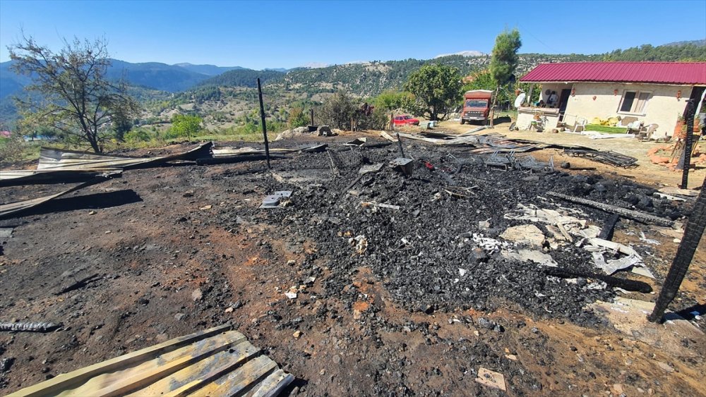 Mersin'de Yangında Hayvanlar Telef Oldu