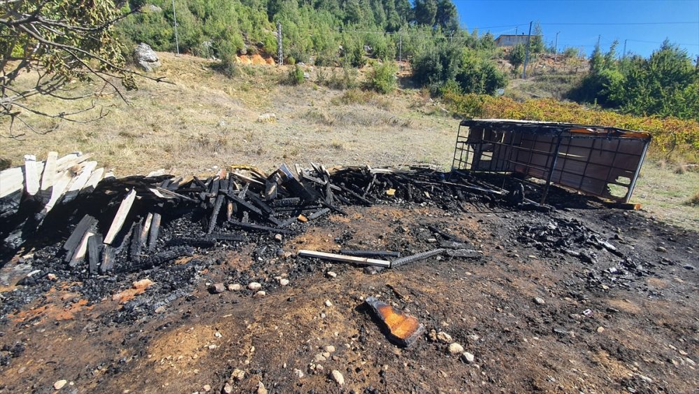 Mersin'de Yangında Hayvanlar Telef Oldu