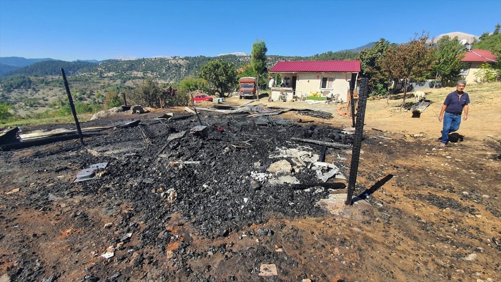 Mersin'de Yangında Hayvanlar Telef Oldu