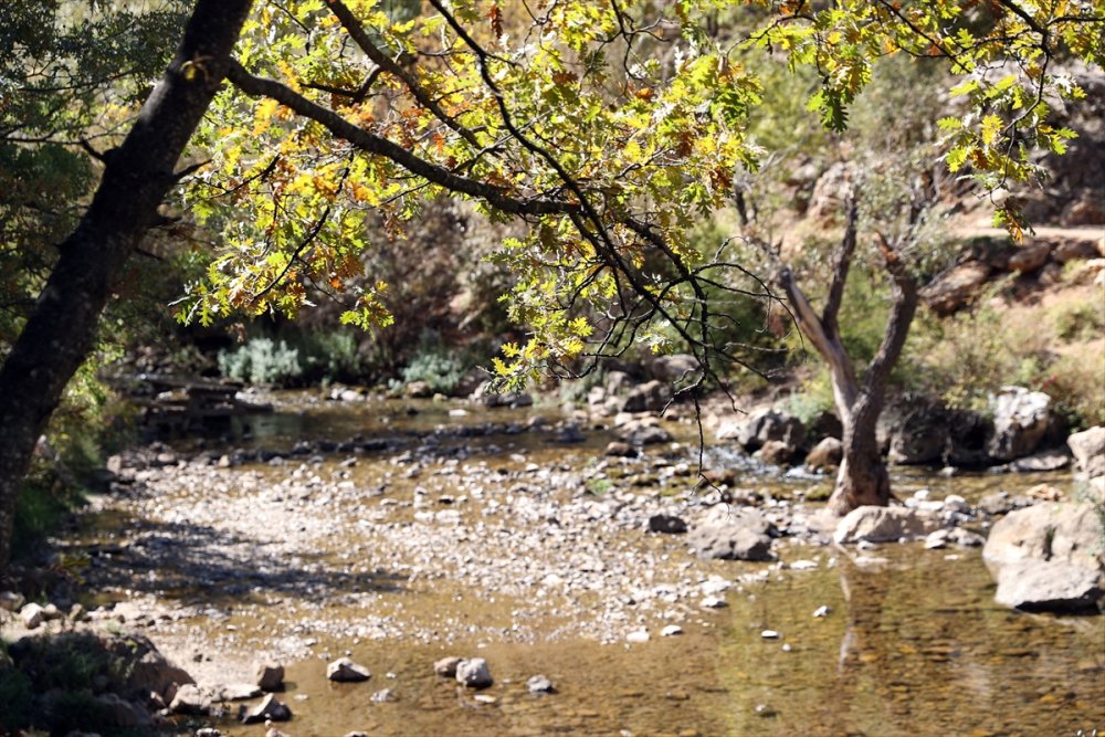 Orta Toroslar Sonbahar Renklerine Büründü