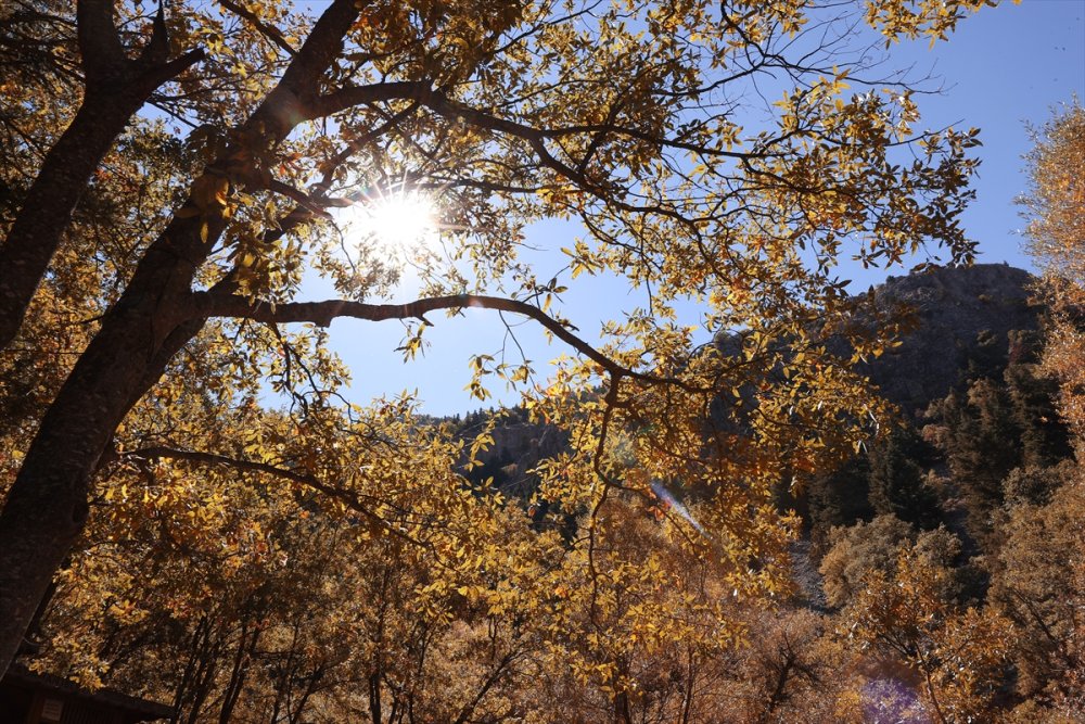 Orta Toroslar Sonbahar Renklerine Büründü