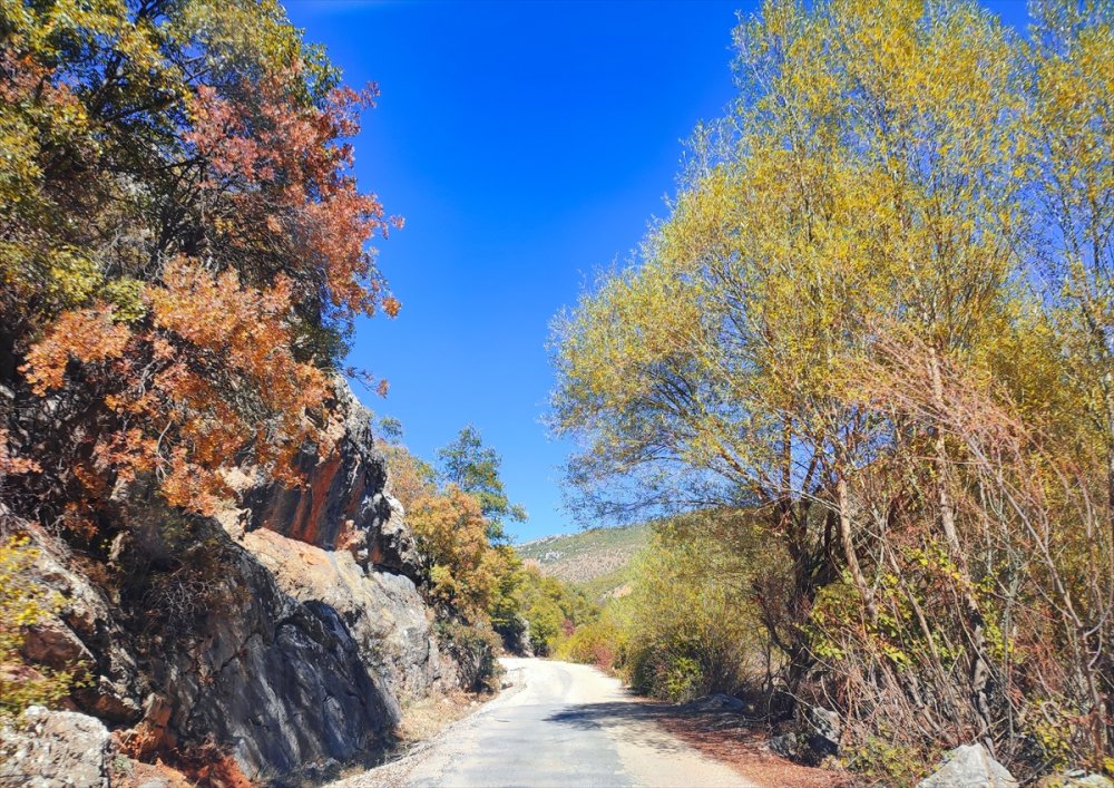 Orta Toroslar Sonbahar Renklerine Büründü