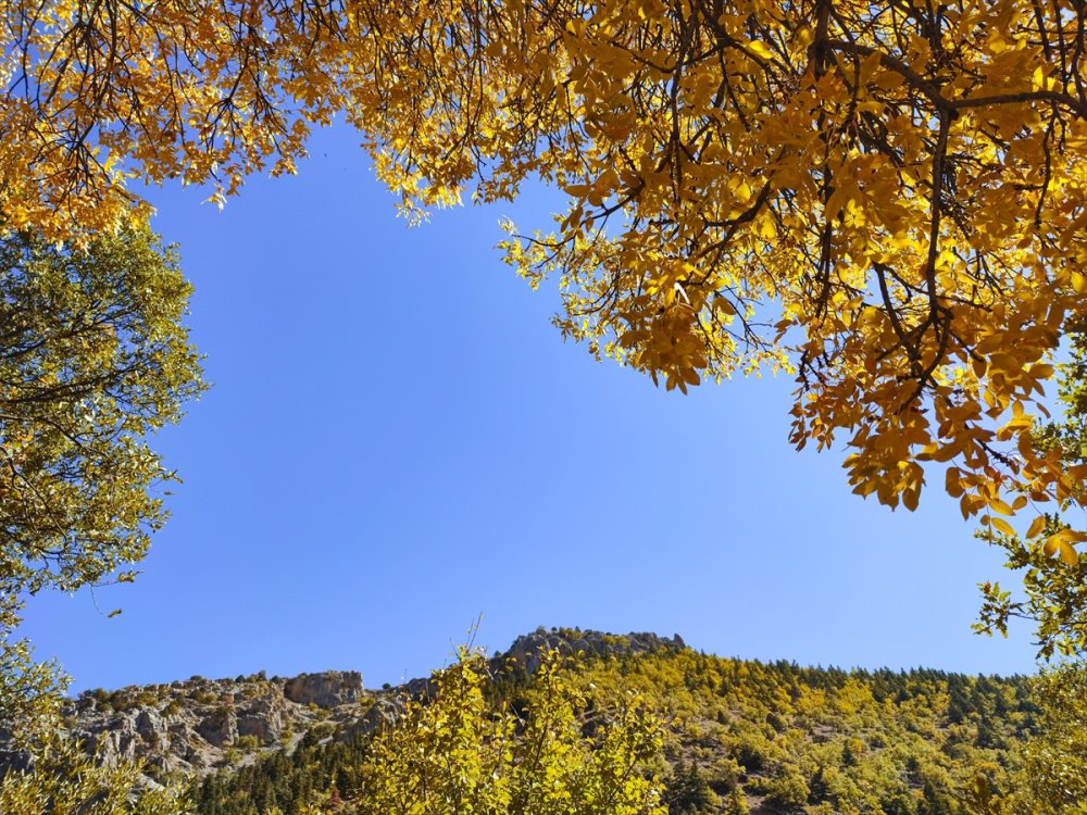 Orta Toroslar Sonbahar Renklerine Büründü