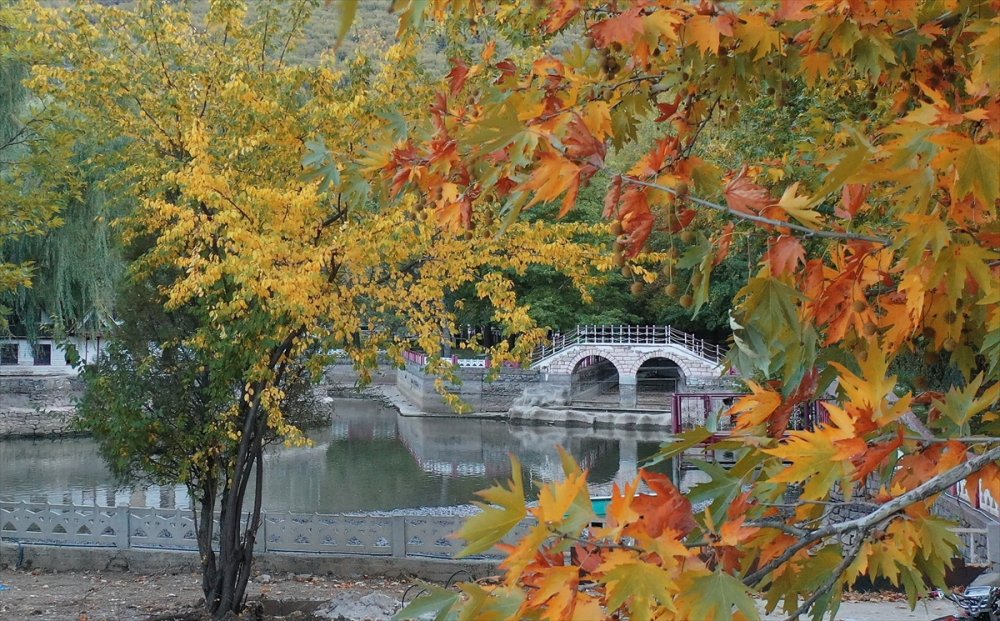 Orta Toroslar Sonbahar Renklerine Büründü