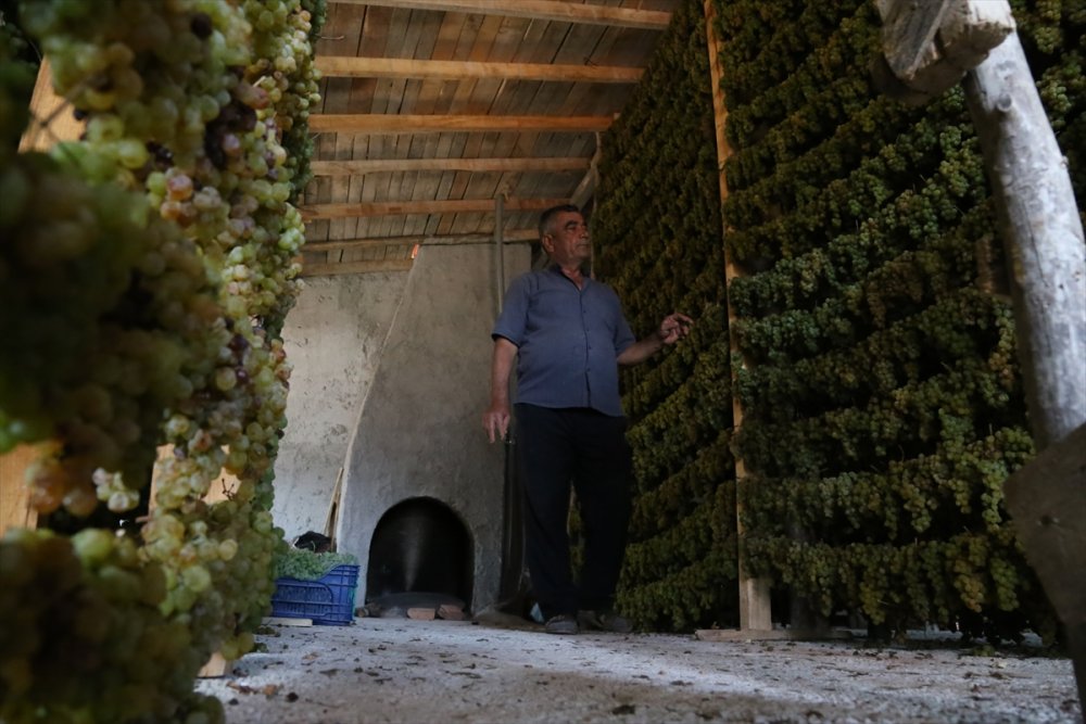 Tavan Arasından Sofraya "Gök Üzüm" Yülculuğu