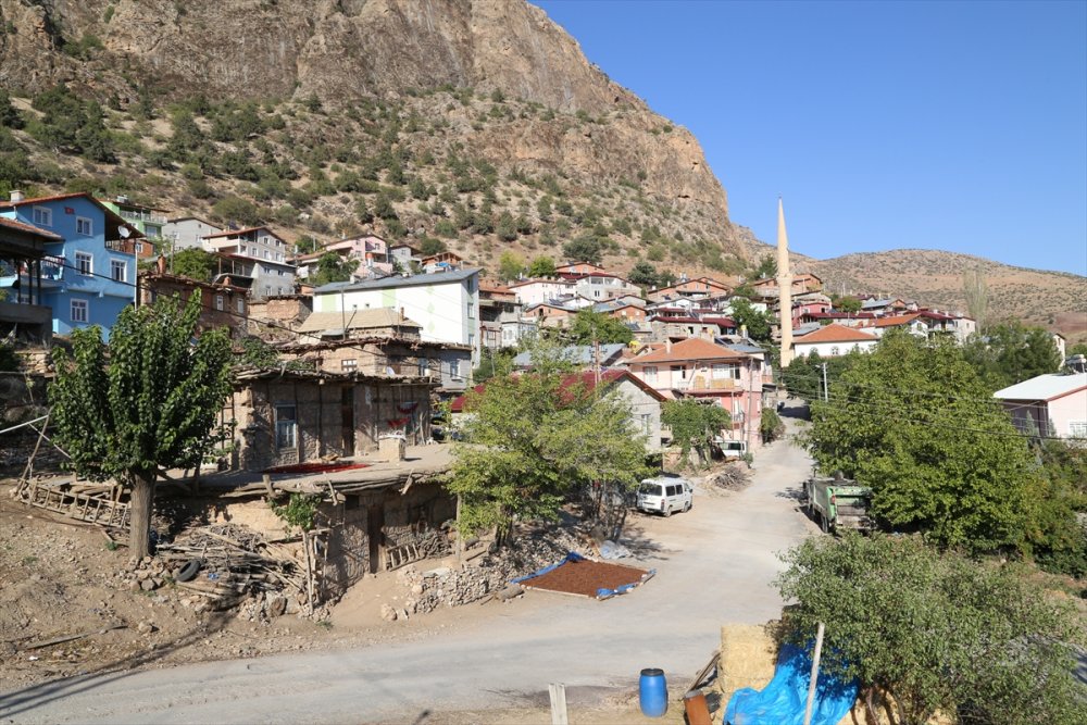 Tavan Arasından Sofraya "Gök Üzüm" Yülculuğu