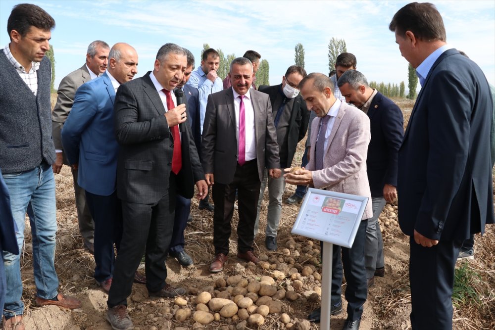 Niğde'de "Tarla Günü" Etkinliğinde 6 Yerli Patates Çeşidi Tanıtıldı