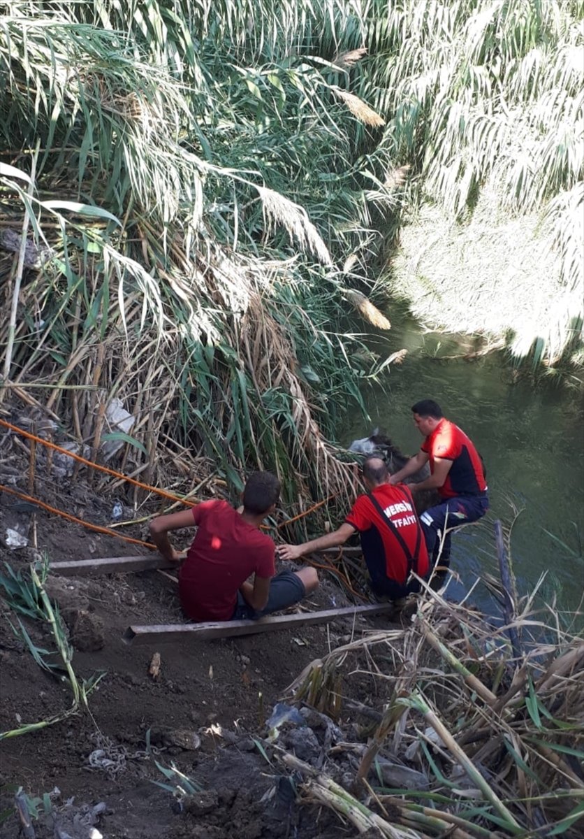 Su Kanalına Düşen Atı İtfaiye Kurtardı