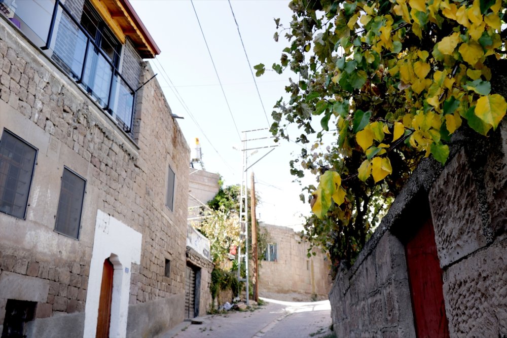 Kayseri'de Sonbahar Renkleri