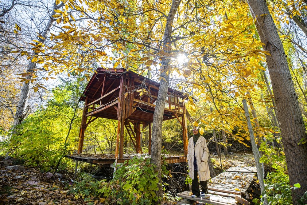 Kayseri'de Sonbahar Renkleri