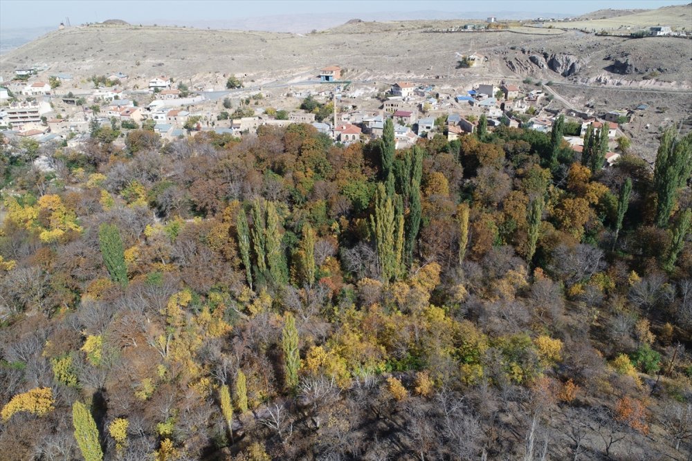 Kayseri'de Sonbahar Renkleri