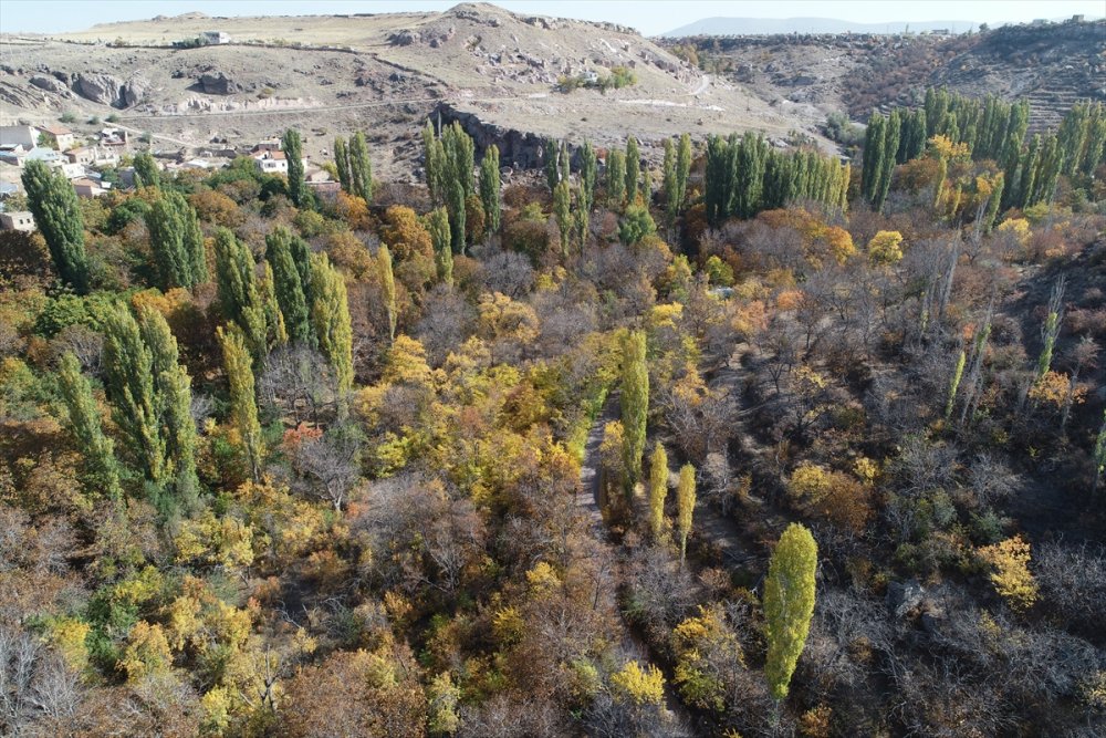 Kayseri'de Sonbahar Renkleri