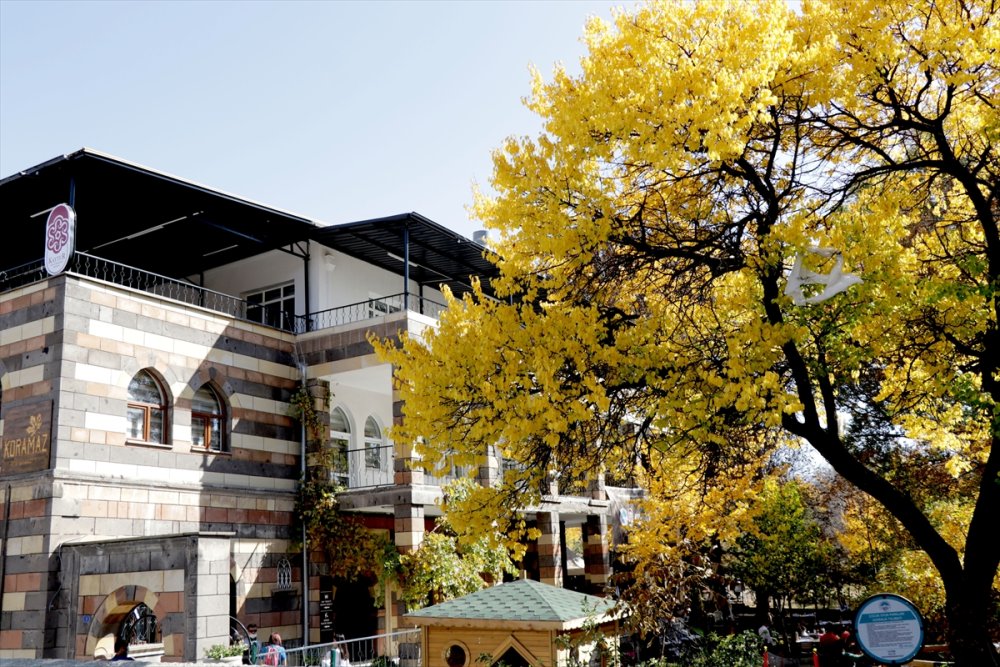 Kayseri'de Sonbahar Renkleri