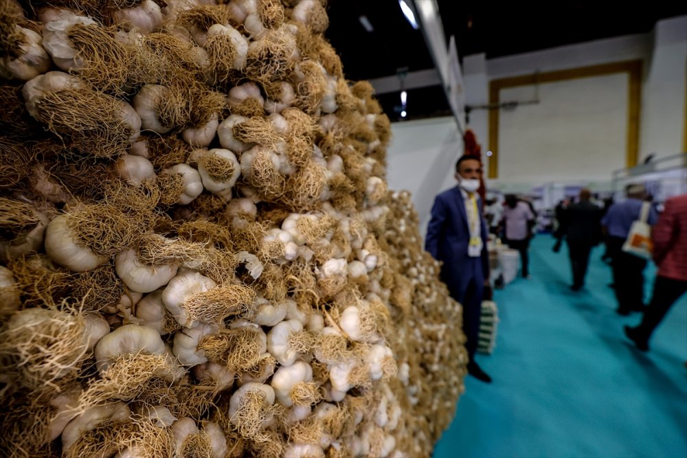 Yöresel Ürünler Fuarı Antalya'da Açıldı