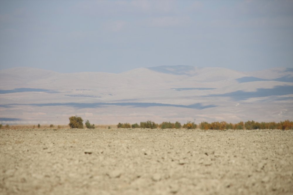 Akşehir Gölü'nünde Sevindiren Durum