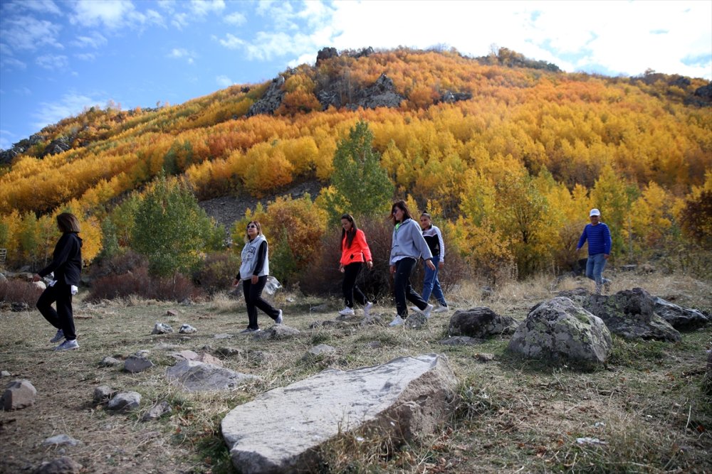 Erciyes'in "Titrek Kavakları" Sonbahar Renkleriyle Bezendi