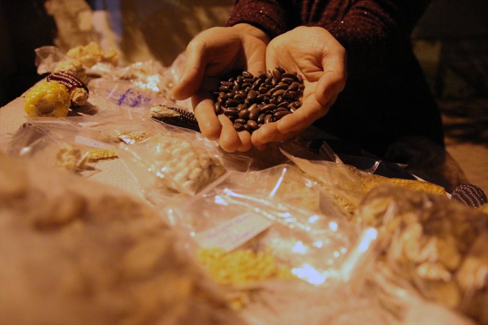 Muhasebecilikten Artakalan Zamanlarında "ata Tohumu" Yetiştiriyor