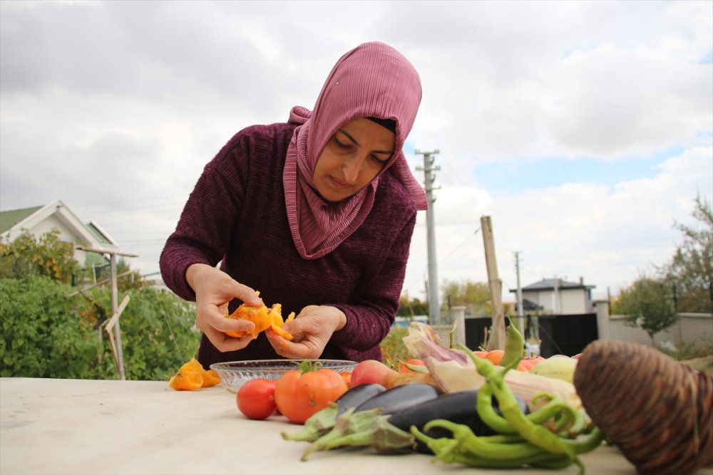 Muhasebecilikten Artakalan Zamanlarında "ata Tohumu" Yetiştiriyor