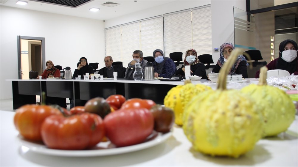 Muhasebecilikten Artakalan Zamanlarında "ata Tohumu" Yetiştiriyor