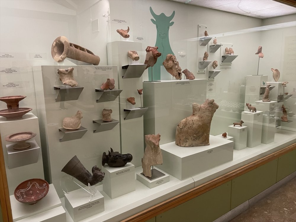 Niğde'de Müze Uzmanlarına Hizmet İçi Eğitim Verildi