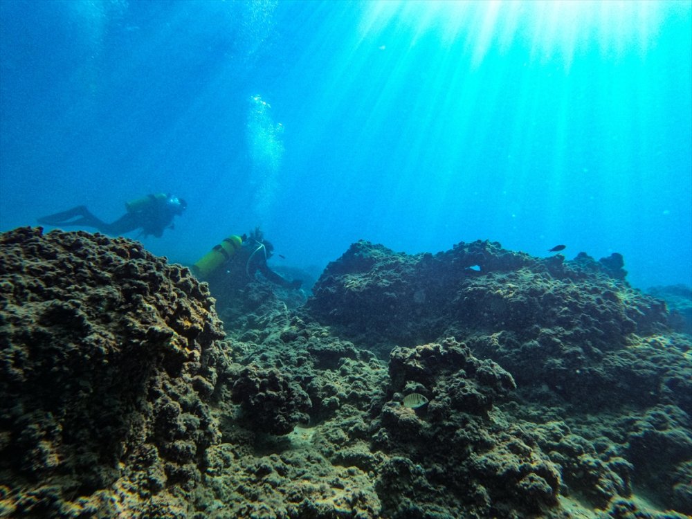 Mersin Kıyılarındaki Su Altı Kanyonları Dalış Tutkunlarını Ağırlıyor