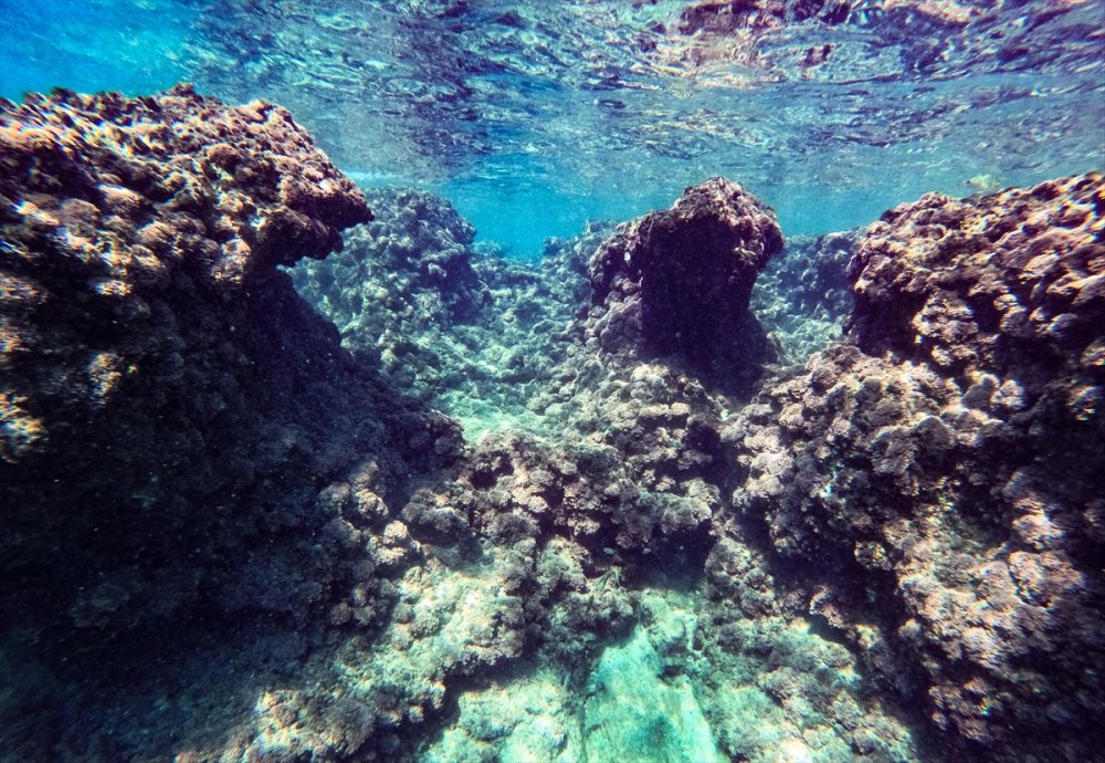 Mersin Kıyılarındaki Su Altı Kanyonları Dalış Tutkunlarını Ağırlıyor