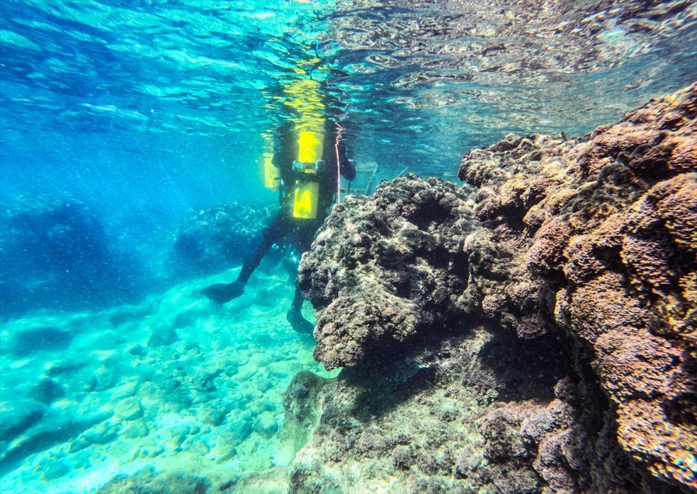 Mersin Kıyılarındaki Su Altı Kanyonları Dalış Tutkunlarını Ağırlıyor