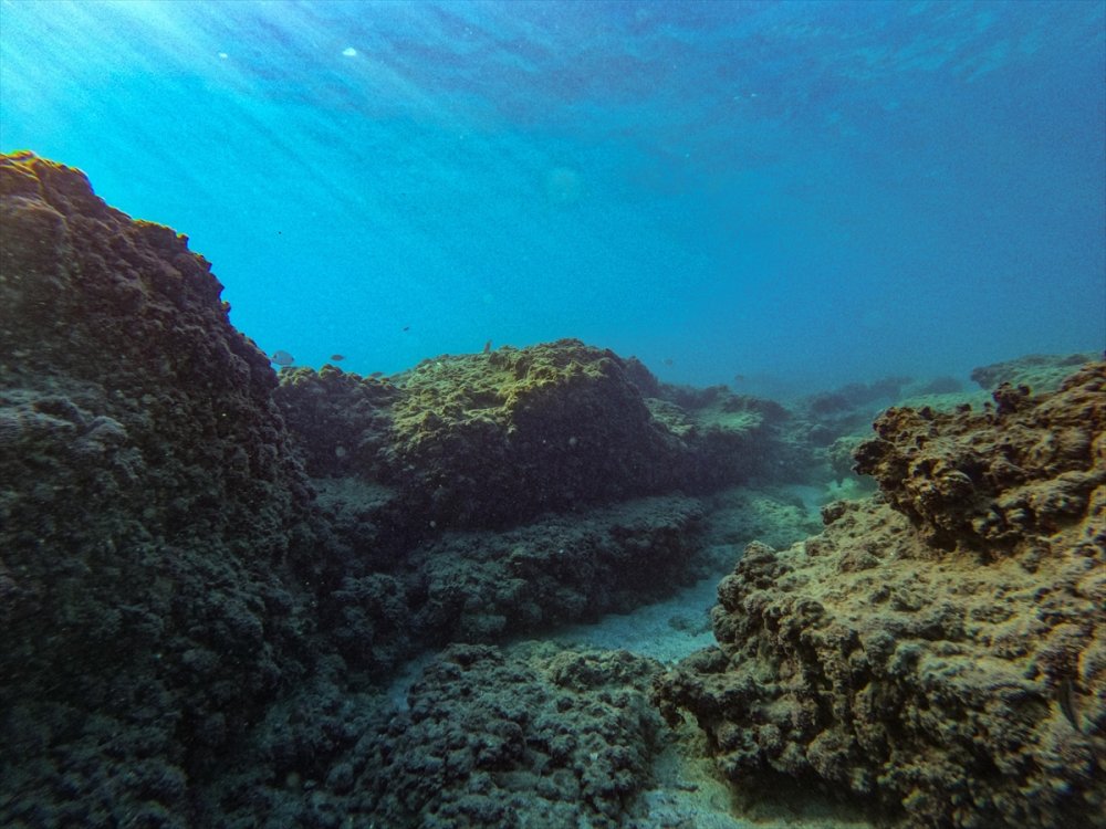 Mersin Kıyılarındaki Su Altı Kanyonları Dalış Tutkunlarını Ağırlıyor