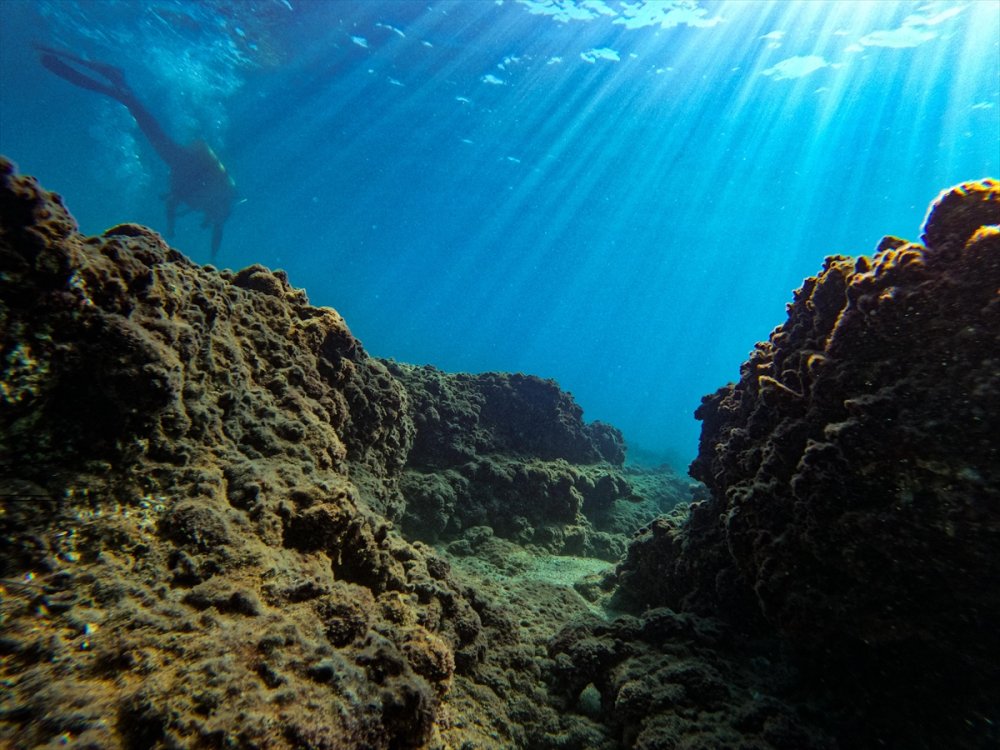 Mersin Kıyılarındaki Su Altı Kanyonları Dalış Tutkunlarını Ağırlıyor