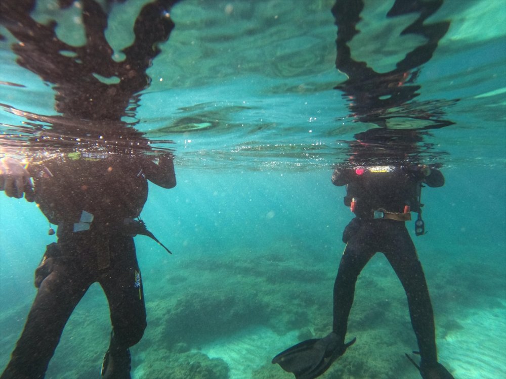Mersin Kıyılarındaki Su Altı Kanyonları Dalış Tutkunlarını Ağırlıyor