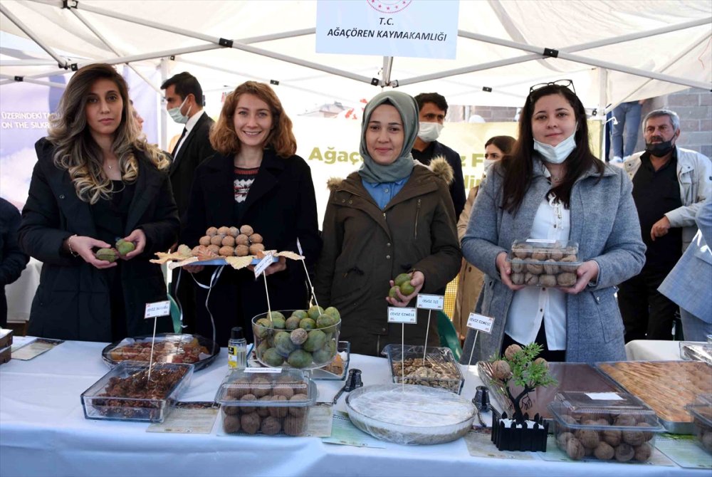 Aksaray'da "1. Geleneksel Ağaçören Ceviz Festivali" Başladı