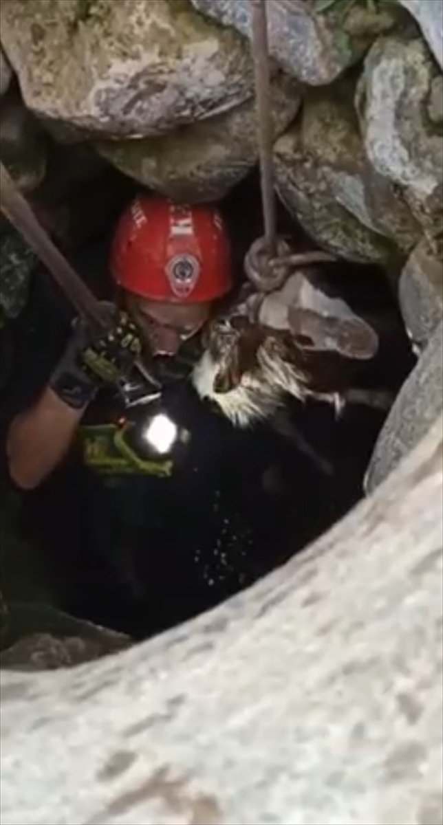 Kayseri'de Kuyuya Düşen Keçi 4 Saatte Kurtarıldı