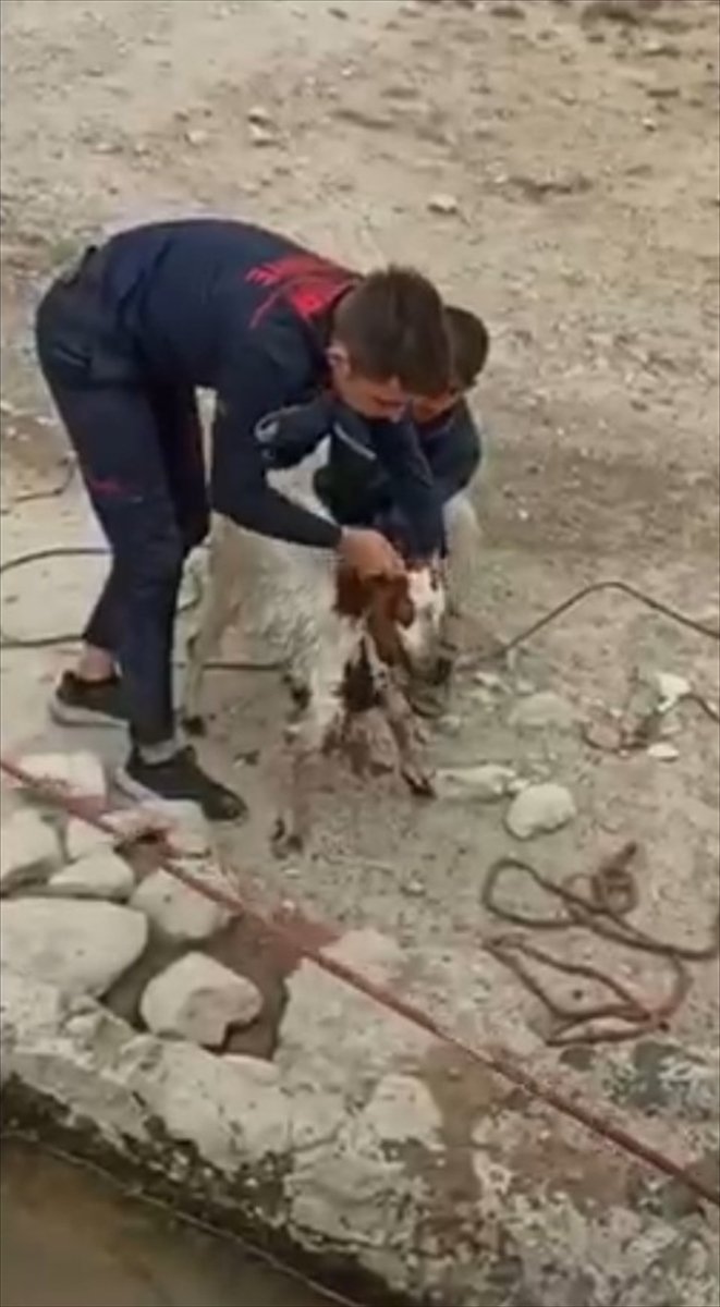 Kayseri'de Kuyuya Düşen Keçi 4 Saatte Kurtarıldı