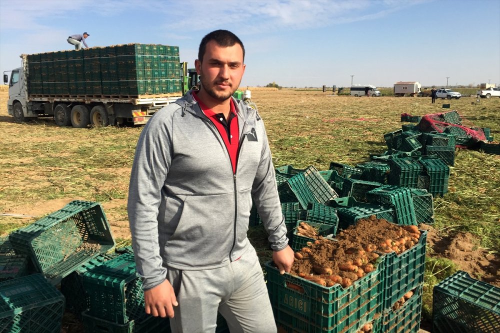 Konya'da Havuç Üretimi Yüz Güldürdü