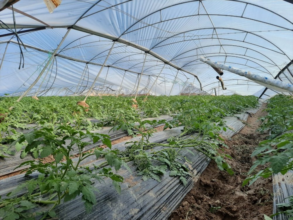 Mersin’de Şiddetli Rüzgar Ve Sağanak Etkili Oldu