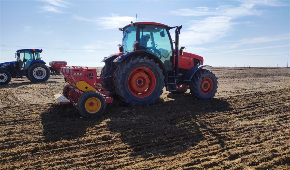 Ereğli'de Sertifikalı Organik Tohum Üretimi Başladı