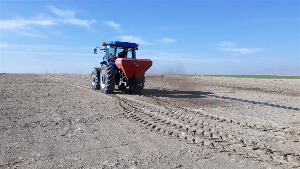 Ereğli'de Sertifikalı Organik Tohum Üretimi Başladı