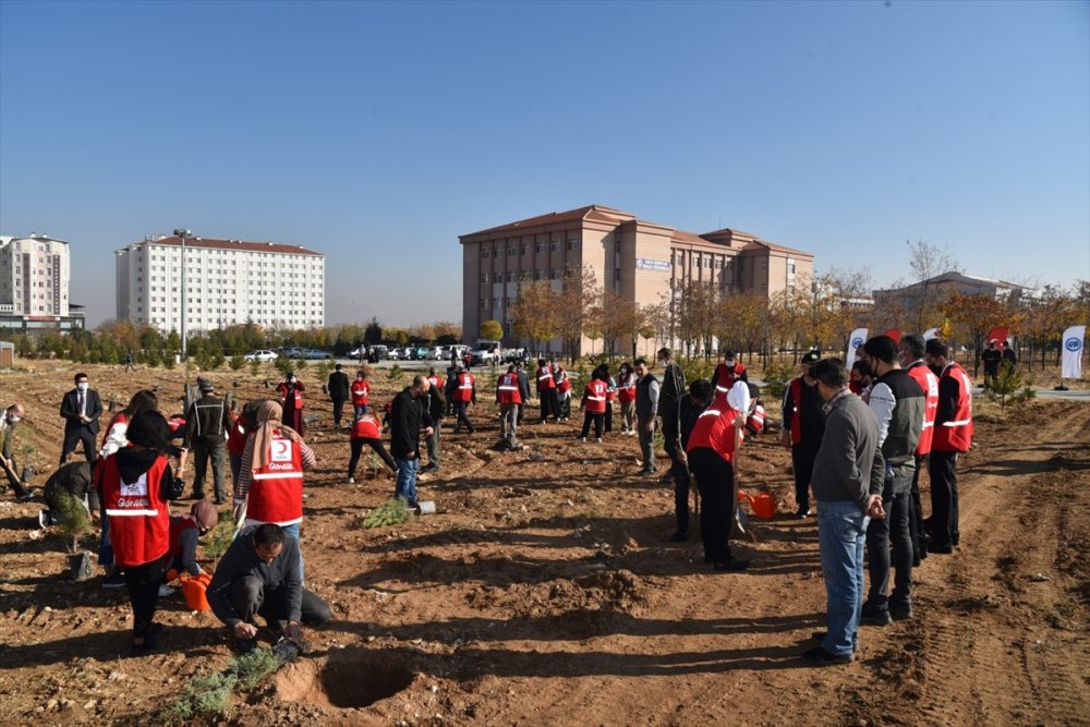KMÜ'de 200 Fidan Toprakla Buluşturuldu