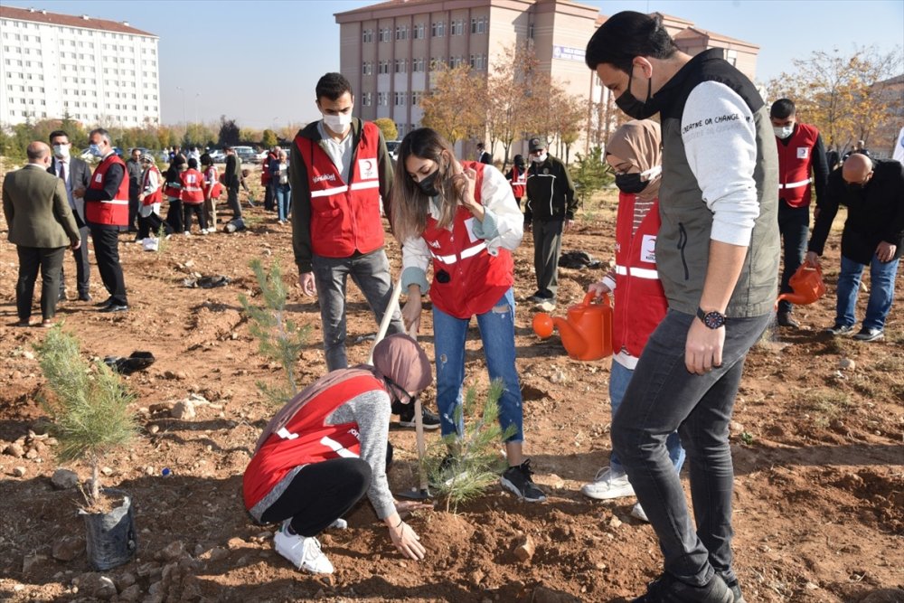 KMÜ'de 200 Fidan Toprakla Buluşturuldu