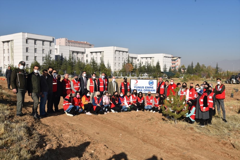 KMÜ'de 200 Fidan Toprakla Buluşturuldu