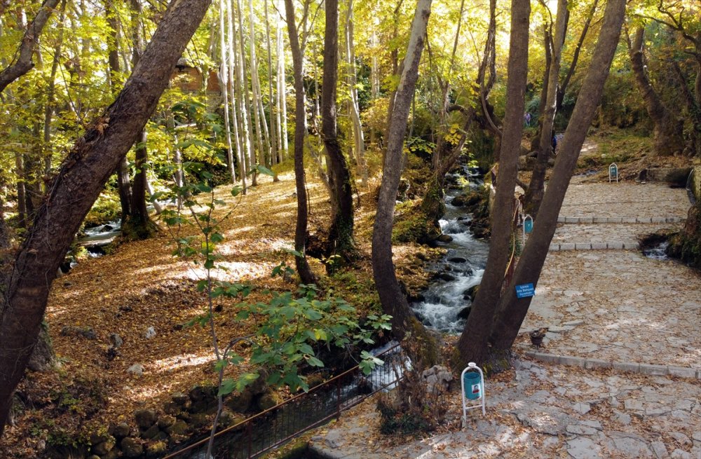 Doğayla İç İçe Alışverişin Adresi: Zeyve Pazarı